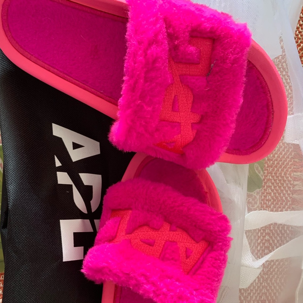 APL SLIDES